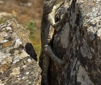 5 уникальных чудес Азербайджана