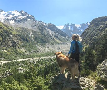 Нетипичное Приэльбрусье с аляскинским маламутом!
