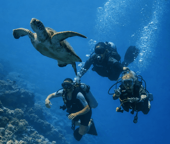 Стань Дайвером — дайвинг кэмп на Мальдивах