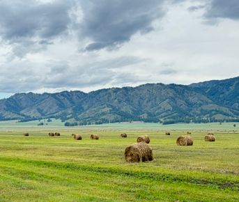 Другой Алтай - Эконом