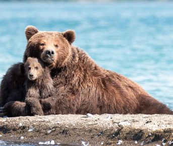 Летний тур 2026 Премиум — 8 дней