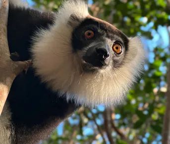 Мадагаскар: экспедиция с фотографом