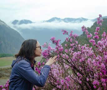 Большое цветение маральника на Алтае 2026