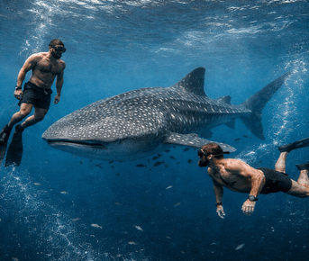 Мальдивы. Рейд по островам. Тропическое приключение в стиле Последний Герой.