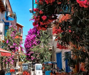 Из Стамбула — на живописные Принцевы острова!