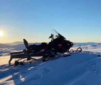 Таёжное царство Алтая