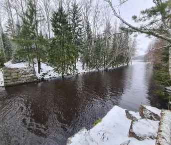 Остров Перепутный. Серый гранит, изумрудные ели и белый снег