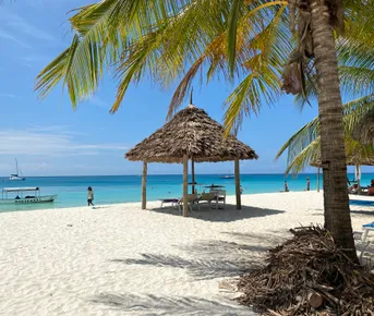 Удивительный Занзибар с 2х дневным сафари в Танзании!