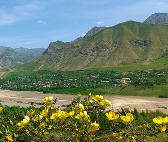 Сокровища Ферганской долины: шелка, керамика, вино