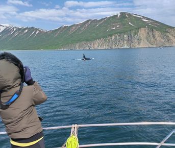 Идем к китам и косаткам - Морской круиз на Камчатке