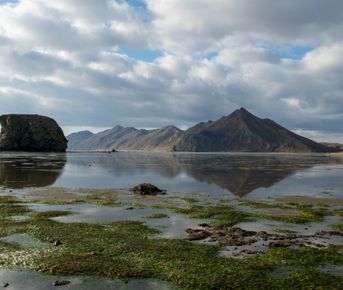Бухта Тихая, Клоковский водопад и ворота тории — зимняя сказка на джипе
