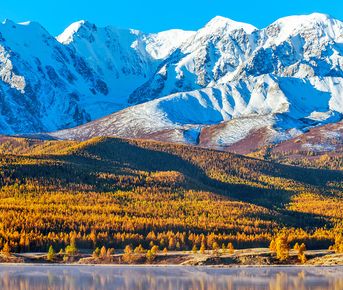 Арт-тур Маашей