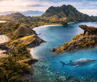 Приключения в Индонезии: неизведанные острова, драконы и морской мир