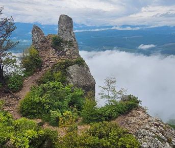 Комбо-Тур Адыгея