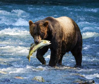 Рыболовный тур 7 дней все включено