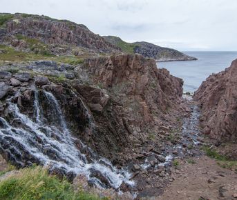 Однодневный тур в Териберку: сокровище Русского Севера