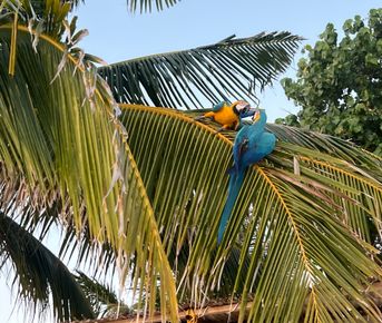 Волшебное путешествие на Мальдивы! Тропический рай!