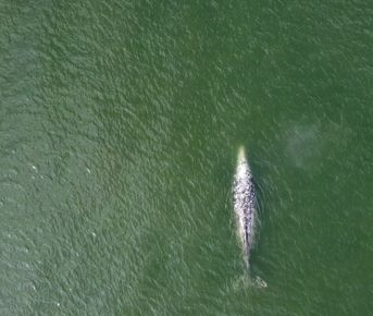 Север Сахалина