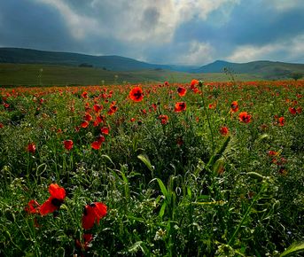 3 дня - Весеннее пламя Дагестана