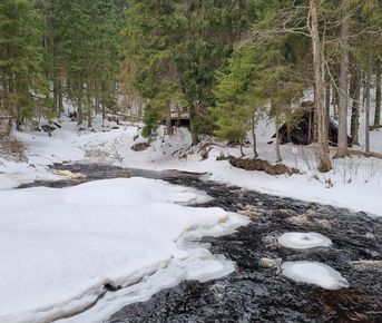 Зимние каникулы в Карелии