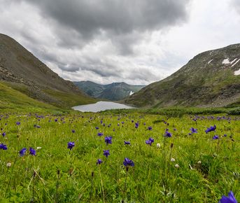 Дыхание Алтая