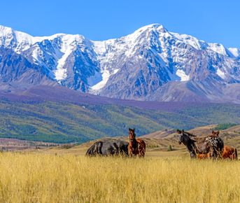 Алтай. Чуйский тракт и Телецкое озеро.