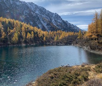 Алтайское кольцо. Активный тур. Семейный формат.