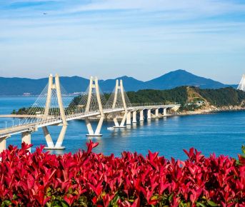 Южная Корея на майские. Путешествие во время цветения роз и азалий