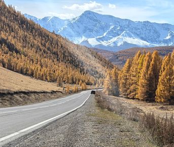 Велопоход Золотая осень на Алтае