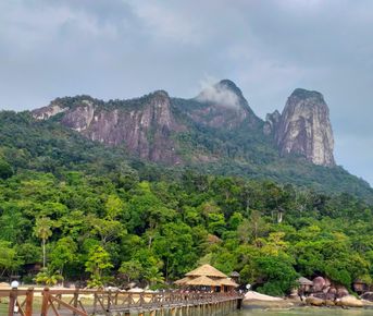 Трекинг В дебрях Малайзии