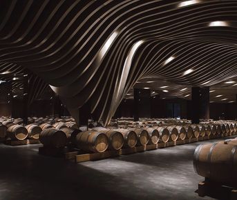 Авторский винный тур в Геленджике