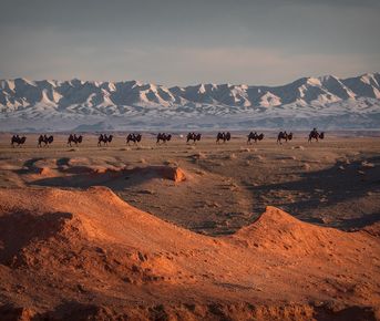 Экспедиция в Монголию