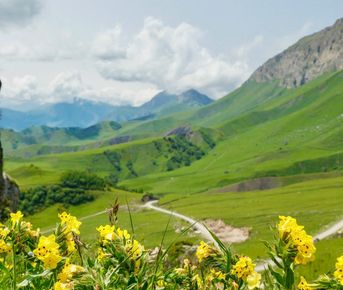 Горная Ингушетия — из Владикавказа.