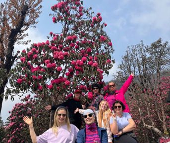 Цветок Непала