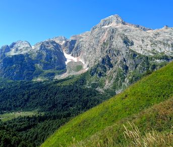 Адыгейский кот. Восхождение на Фишт, Оштен, Пшехо-су