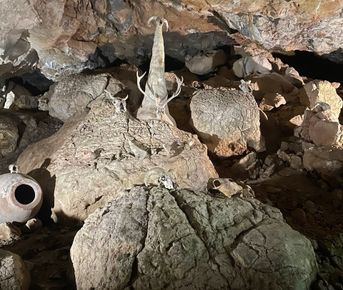 Горизонт Сердца. Ретрит в Крыму