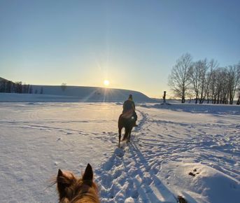 Конно-верховой тур до скалы Уклы-Кая