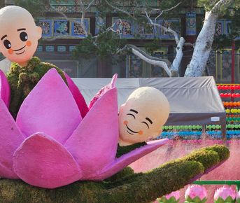 Корея. Жизнь других. Сеул - Пусан - Кёнджу - о. Чеджу