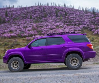 Весенний Маральник на Алтае