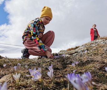 Территория детства. Весна 2026