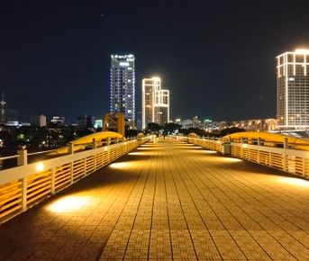 Дананг обзорная экскурсия + Хойан