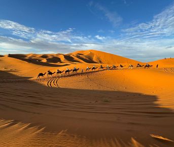 Сказочная кругосветка в Марокко, комфорт-тур от Атлантического океана до пустыни