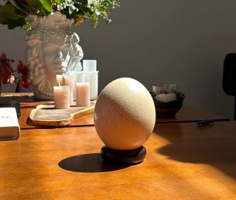 Кейптаун. Путешествие на край света.