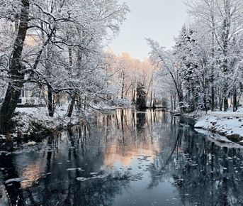 Вкус истории, аромат сыра, душа усадьбы!