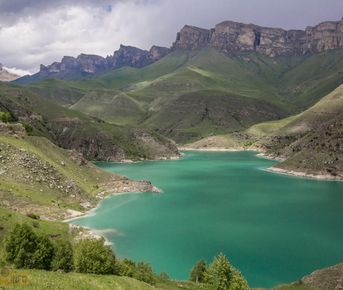 По следам Бременских музыкантов