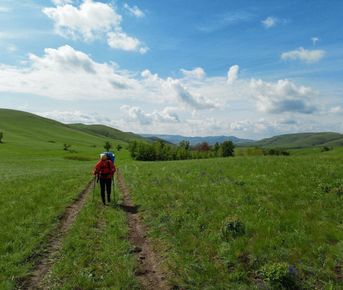 Долгие горы: выполнение программы Степной волк