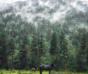 Закат на Бермамыте,виды Джилы-Су и Чегемское ущелье