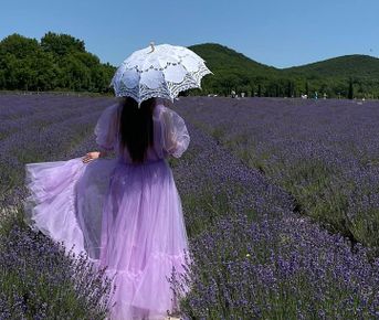 Тур в Лаванду: погружение в атмосферу французского Прованса