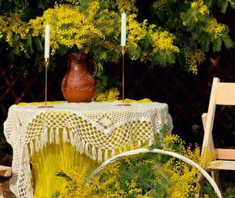 Из Краснодара в Абхазию