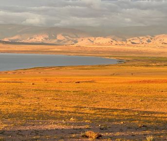 Цветущая Монголия. Озера и Барханы